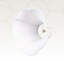 Lampe cloche festonnée House of Hampton®-1329727161-1329727160