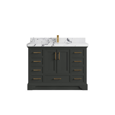 Charlotte 48'' Single Bathroom Vanity with Top