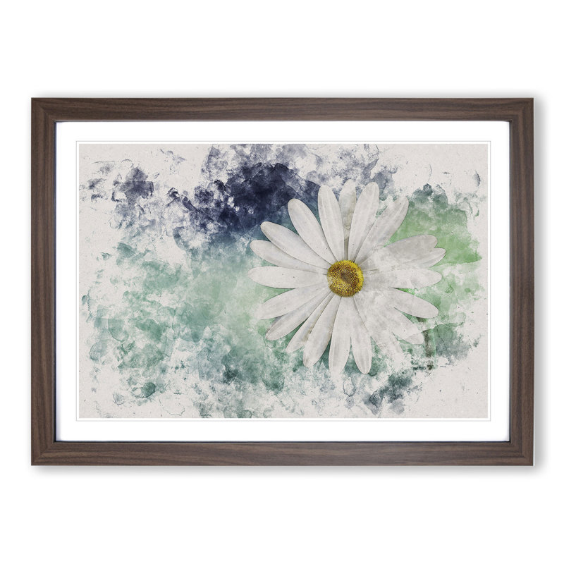 White Daisy Vol.2 - Picture Frame Graphic Art, Walnut Framed, 36cm H x 48cm W x 2cm D