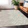 Malek Washable Geometric Indoor / Outdoor Rug