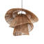 Annamay 1 - Light Natural Novelty Pendant