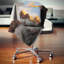 Coussin décoratif paysage imprimé Foggy Hills in Zion National Park-476458534-476458530