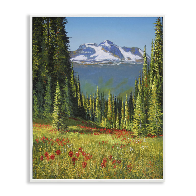 «Alpine Valley Meadow», estampe numérique par Andrew Kiss, Giclée encadrée blanc bord de mer, H 30 po x l 24 po