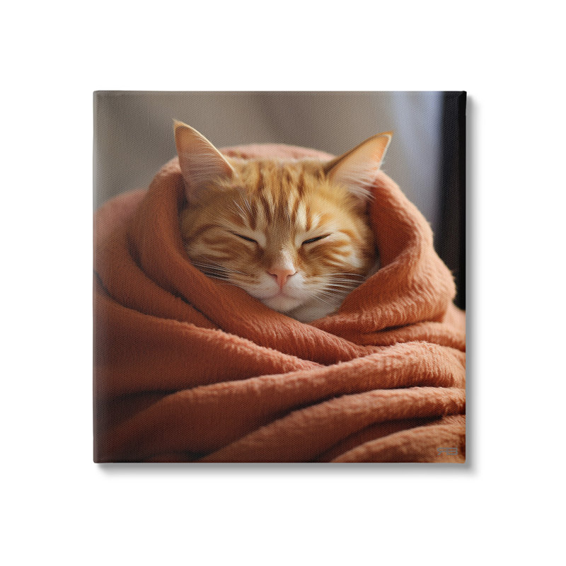 «Cuddling Sleepy Cat», art mural sur toile par RB, H 24 po x l 24 po