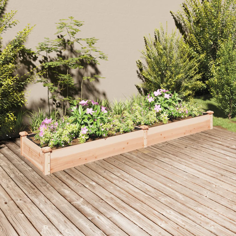 Averion Wood Raised Garden Bed, Natural Pine, 25cm H x 240cm W x 60cm D