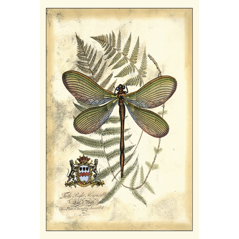 Regal Dragonfly II - Wrapped Canvas Art Prints, 122cm H x 81cm W x 3.8cm D