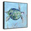 «Sea Turtle I» par Carol Robinson-93233889-93233891