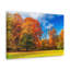 No Frame Print on Canvas-712823762