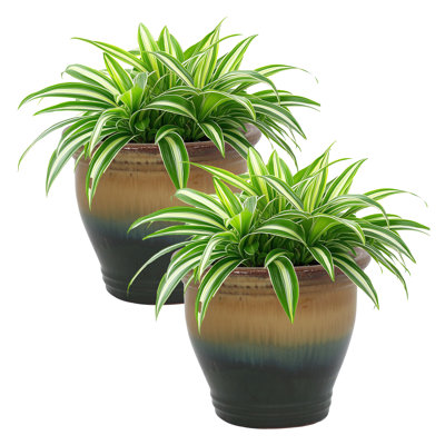 Ailynn Round Imperial Ceramic Outdoor Planter