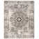 Bryker Oriental Hand Woven Area Rug