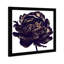 Pivoine noire - cadre photo-80845288-80845285
