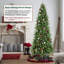 Sapin de Noël artificiel Fraser-1895198951