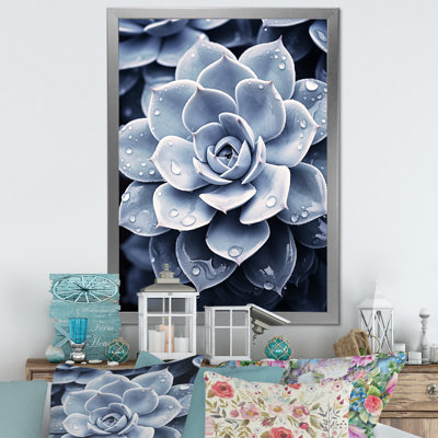 " Blue Succulent Bloom I " Print