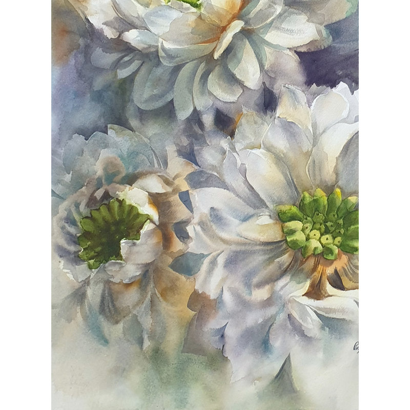 Saison de floraison - Chrysanthème blanc / Guldaudi | Aquarelle sur papier | Puja Kumar