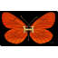 «Hermes Butterfly (Horizontal)» par Jodi - impression-189956659-189956656