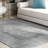 Drusie Indoor Rug-336397724