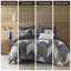 Ensemble d'édredon pour lit double / grand 3 pièces-128898703-128898700