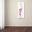 « arc-en-ciel plantes vii », reproduction sur toile tendue-33405404