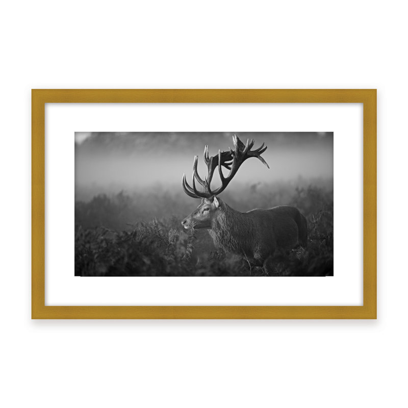 Nature Inspired Sunny Morning by  - Picture Frame Photograph on Paper, 16" H x 24" W x 1.125" D, Framed Print, Gold