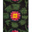 One-of-a-Kind 9' 1" X 11' 4" Hand Knotted Area Rug