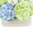 Assorted Hydrangea and Viburnum in Ceramic Vase
