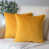 Citron n'est pas disponible