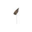 Feuille d'anthurium en acier inoxydable, LG