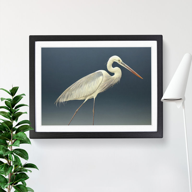 Astounding Heron Bird - Single Picture Frame Print, 25cm H x 34cm W x 2cm D, Black Framed