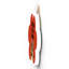 Gruia Wall Decor