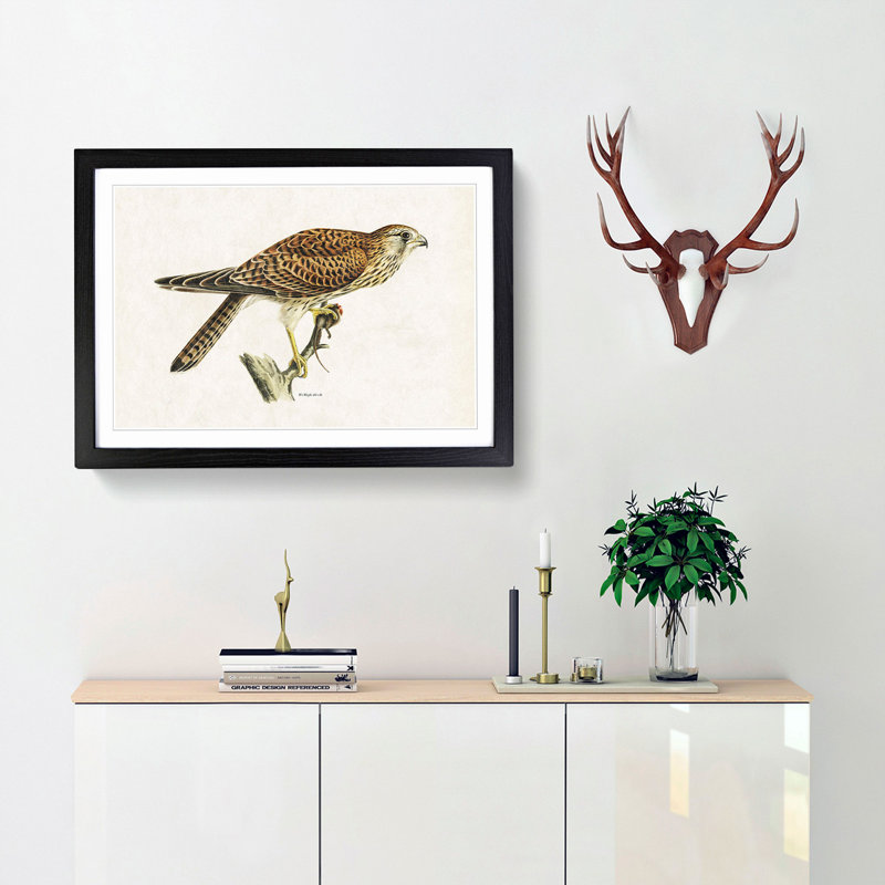 Common Kestrel by Von Wright - Picture Frame Painting Print, 27cm H x 36cm W x 2cm D, Black Framed