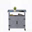 Armoire de rangement pour cour arrière, armoire de rangement en bois, armoire de rangement pour patio, armoire de rangement pour l'extérieur