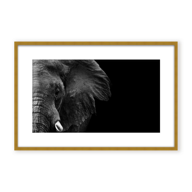 Nature Inspired Elephant by  - Picture Frame Photograph on Paper, 16" H x 24" W x 1.125" D, Brown, Framed Print