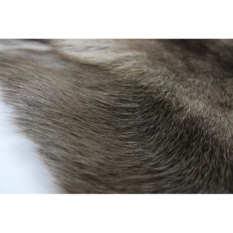 Waite Novelty 100 cm x 125 cm Animal Print Area Rug
