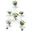 Arnardo Plant Stand