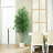 Adcock Faux Ficus Tree in White Planter-1140486949