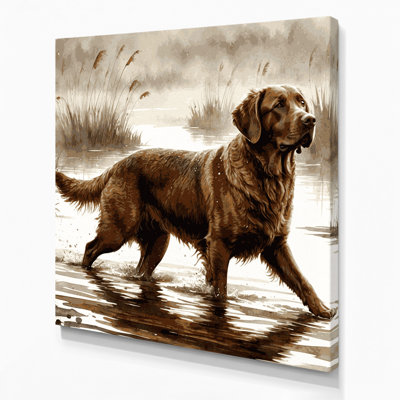 Chiens sur toile grise Chesapeake Bay Retriever