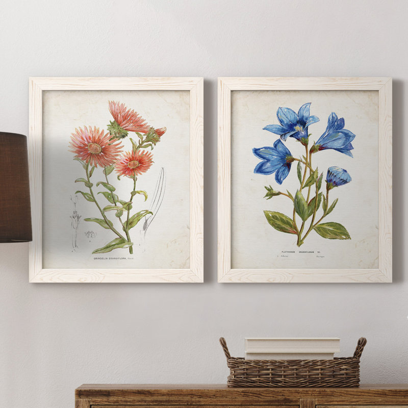 «Botanical I», ensemble de 2 reproductions d'art, Toile blanche encadrée, Pas de tapis, H 20 po x l 17 po x P 1 po