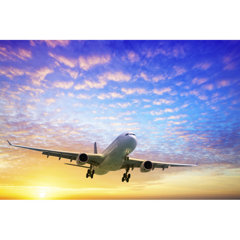 Concow Evening Flight - Wrapped Canvas Print, 30cm H x 46cm W x 3.8cm D