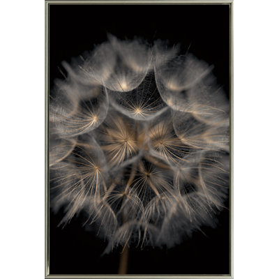 Fragile Beauty Canvas Wall Art