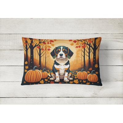Other/No Pattern Outdoor Throw Pillow