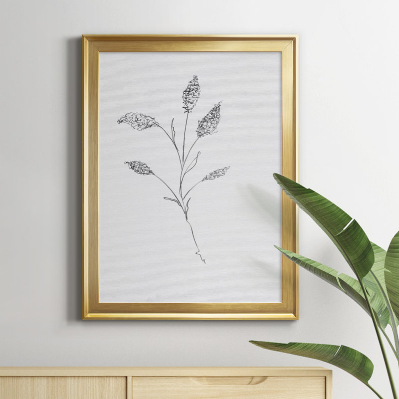 Floral S croquis Ii - reproduction d'art sur toile, Toile encadrée d'or, H 22,5 po x l 30,5 po x P 1,5 po