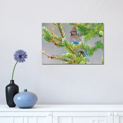 «Stellar's Jay» par Brian Wolf - photographie sur toile tendue