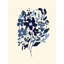 Indigo Floral Bouquet by Josie George — Botanical Wall Art-561740072-561740073-561740094