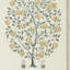 Anaar Tree Wallpaper-50888932
