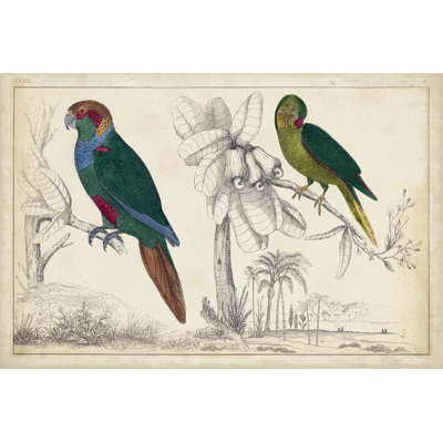 Parrot Pair I - Painting