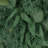 Leaves Teardrop Wreath For Home