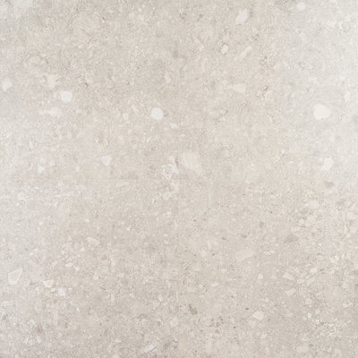 Stonehenge 24" x 24" Matte Porcelain Terrazzo Look Floor and Wall Tile (11.62 Sq. Ft. / Case)