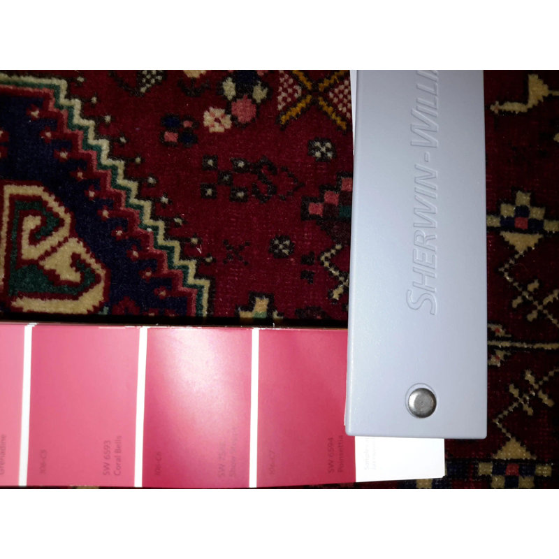 Pragna Oriental Area Rug in Red