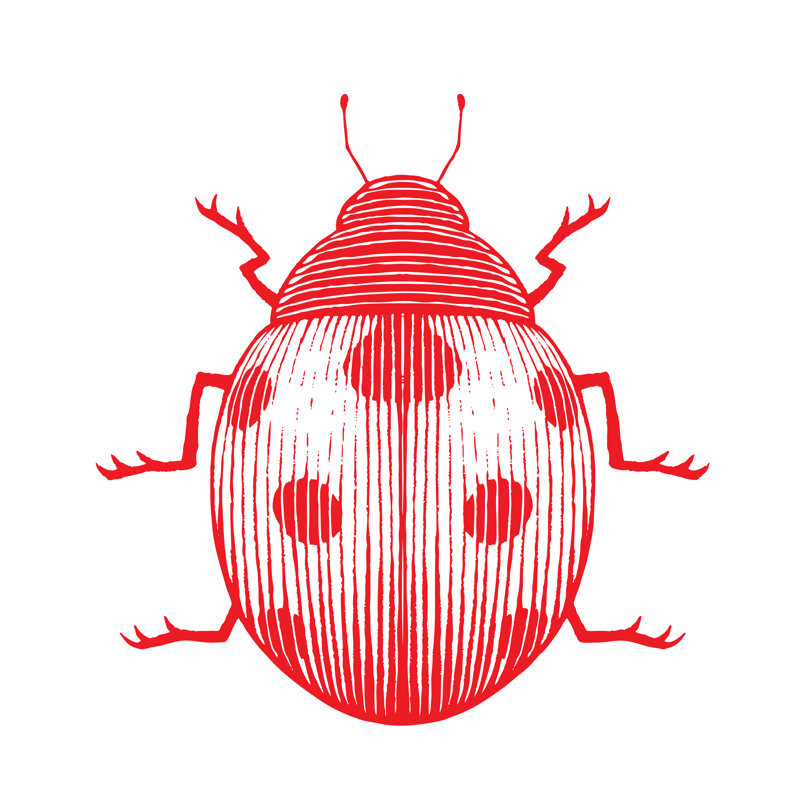 Ladybug Illustration by Cidepix - Wrapped Canvas Print, 30cm H x 30cm W