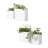 Dalya Planter-59933964